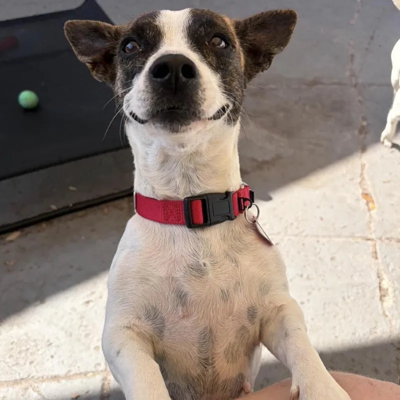 Kacey thumbnail 6