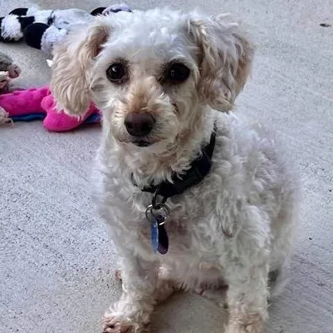 Classy Miller thumbnail 3