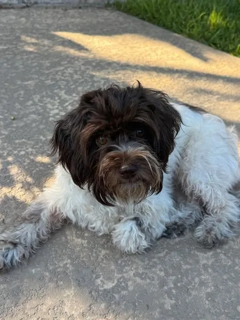 Lucy thumbnail 5