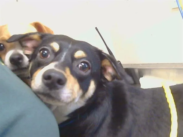 Sally