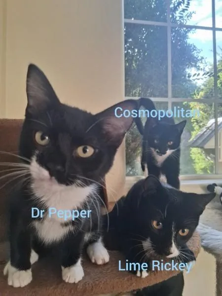 Dr Pepper thumbnail 2