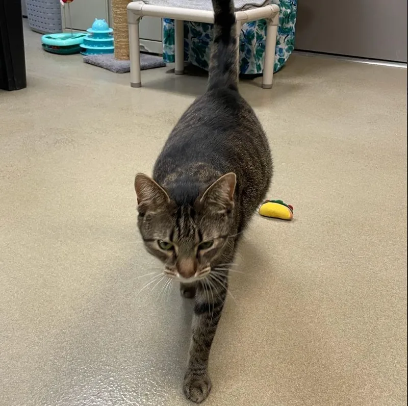 Donnie Pb thumbnail 2