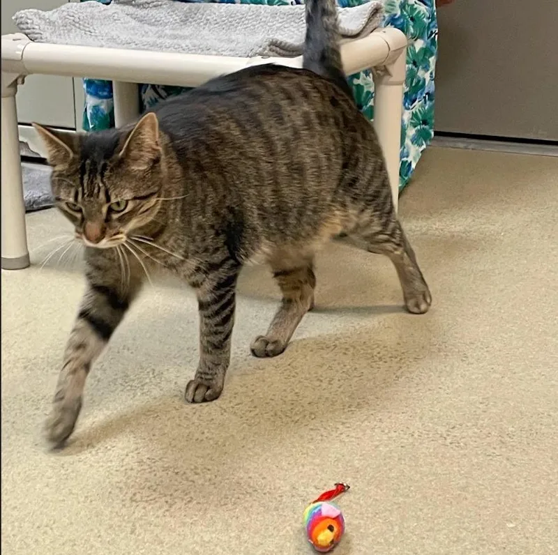 Donnie Pb thumbnail 3