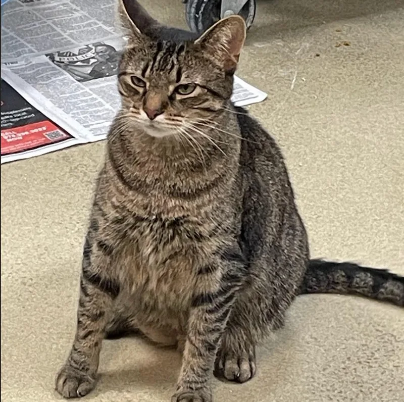 Donnie Pb thumbnail 4