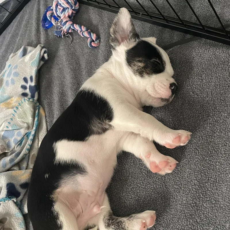 Espresso thumbnail 5