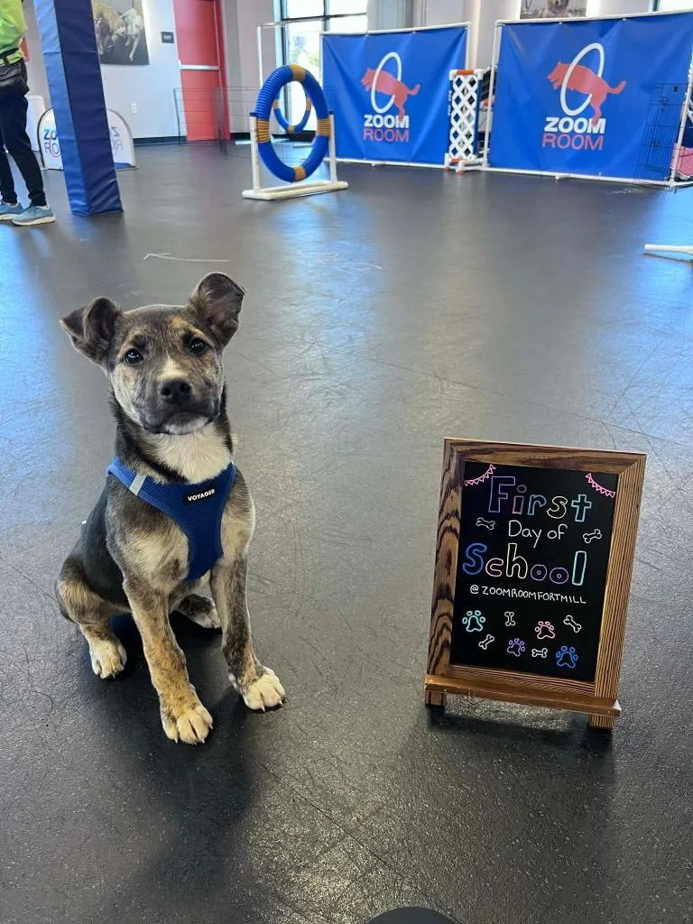 Brimsley thumbnail 6