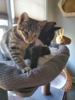 Gracie and Oscar thumbnail 2