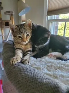 Gracie and Oscar thumbnail 3