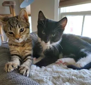 Gracie and Oscar thumbnail 5