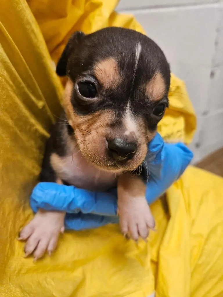 Elton John thumbnail 2