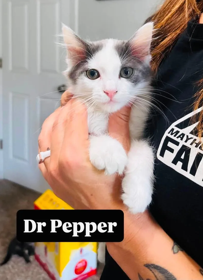 Dr Pepper