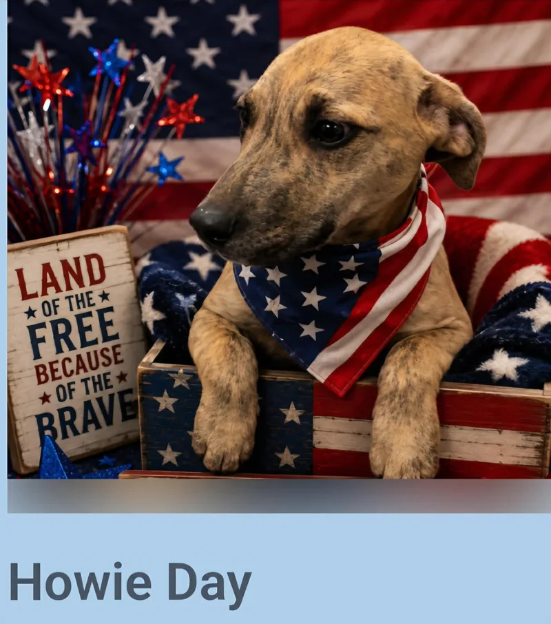 Howie Day