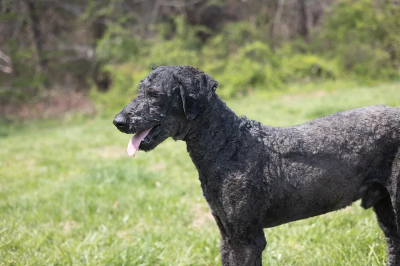 Titustransport thumbnail 2