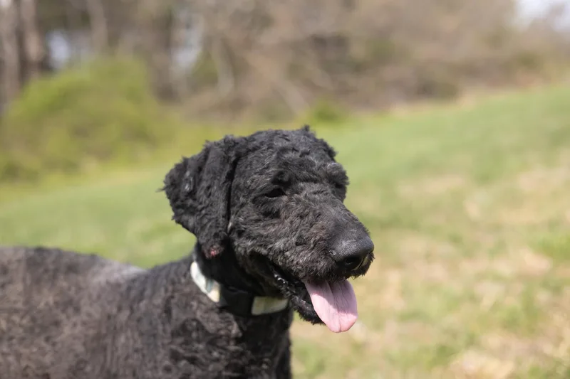 Titustransport thumbnail 3