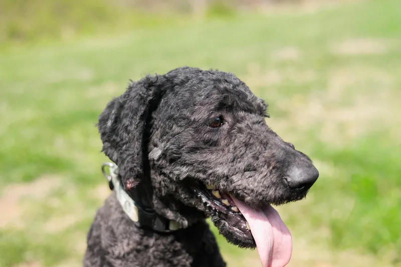 Titustransport thumbnail 4