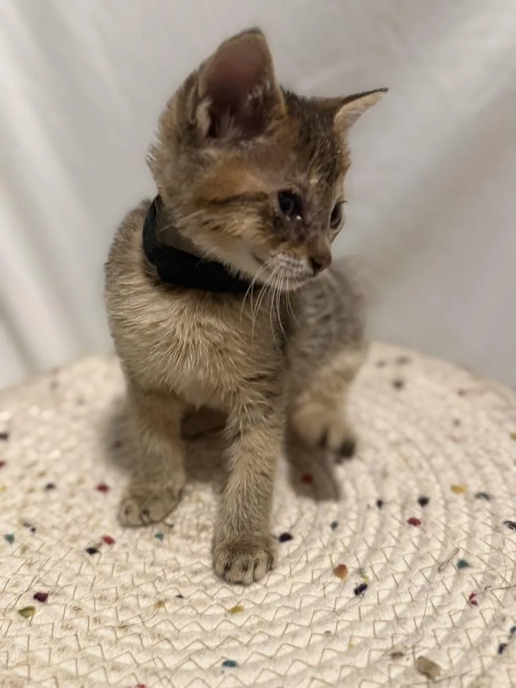 Hugo thumbnail 2