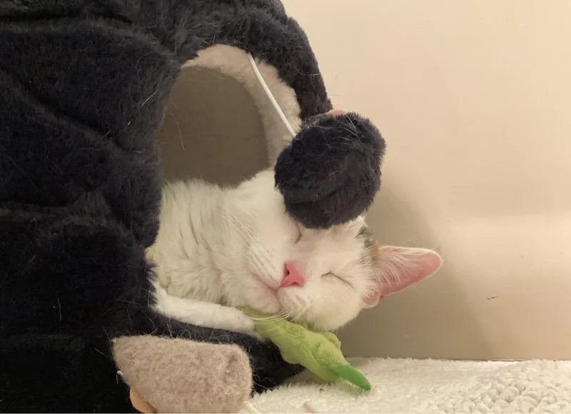 Emmi & Roo thumbnail 3