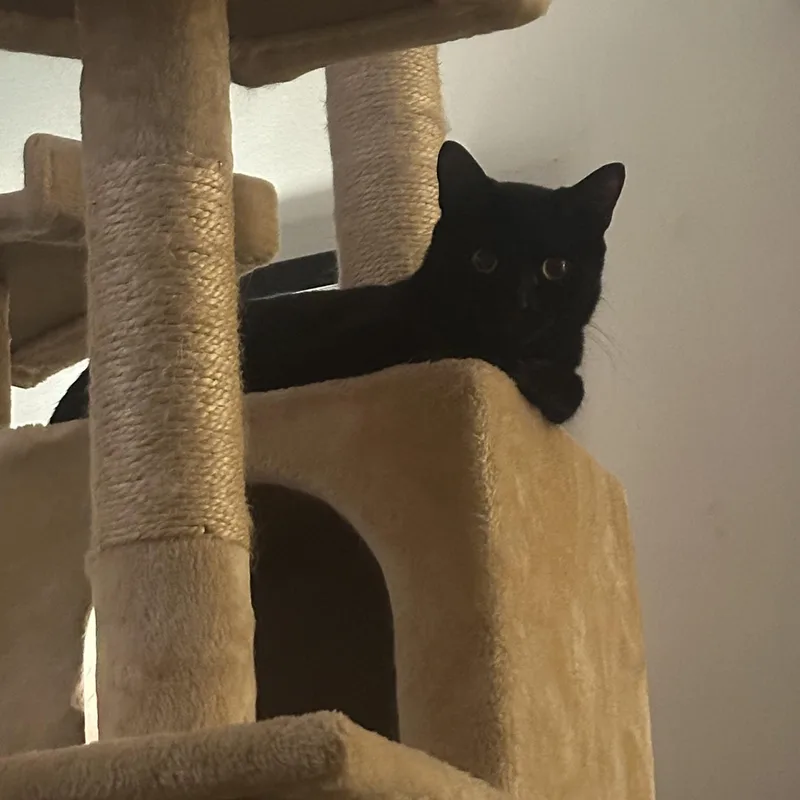 Chapstick thumbnail 3