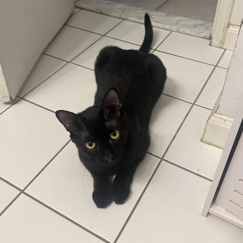 Chapstick thumbnail 4