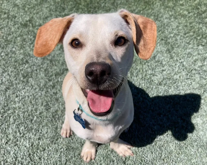 Ben & Jerry thumbnail 2