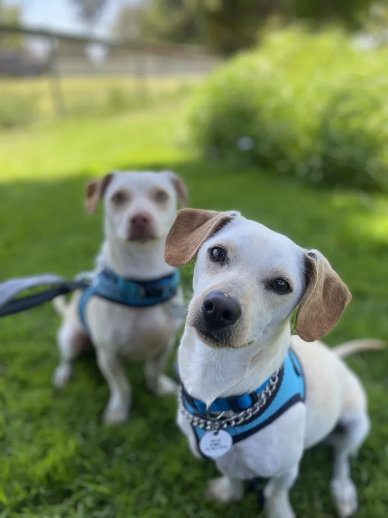 Ben & Jerry thumbnail 3