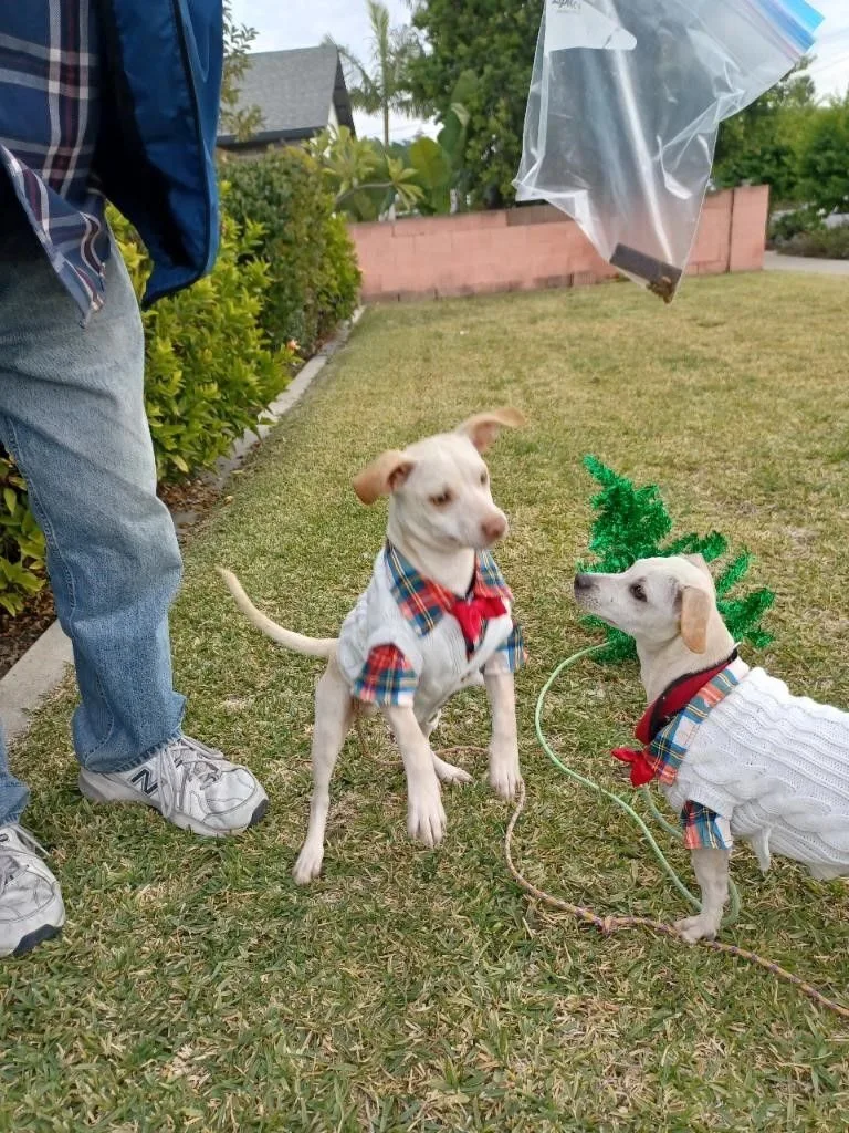 Ben & Jerry thumbnail 4