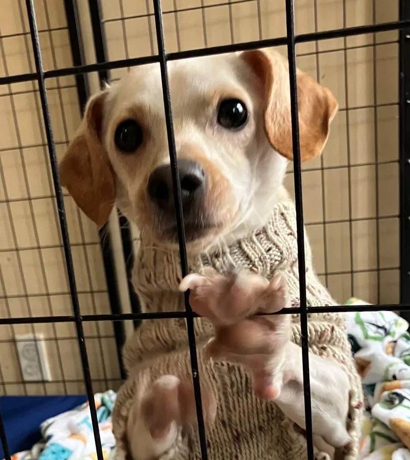 Ben & Jerry thumbnail 5