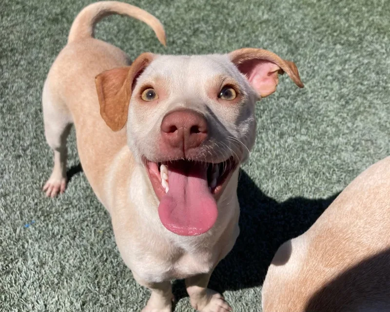 Ben & Jerry thumbnail 6