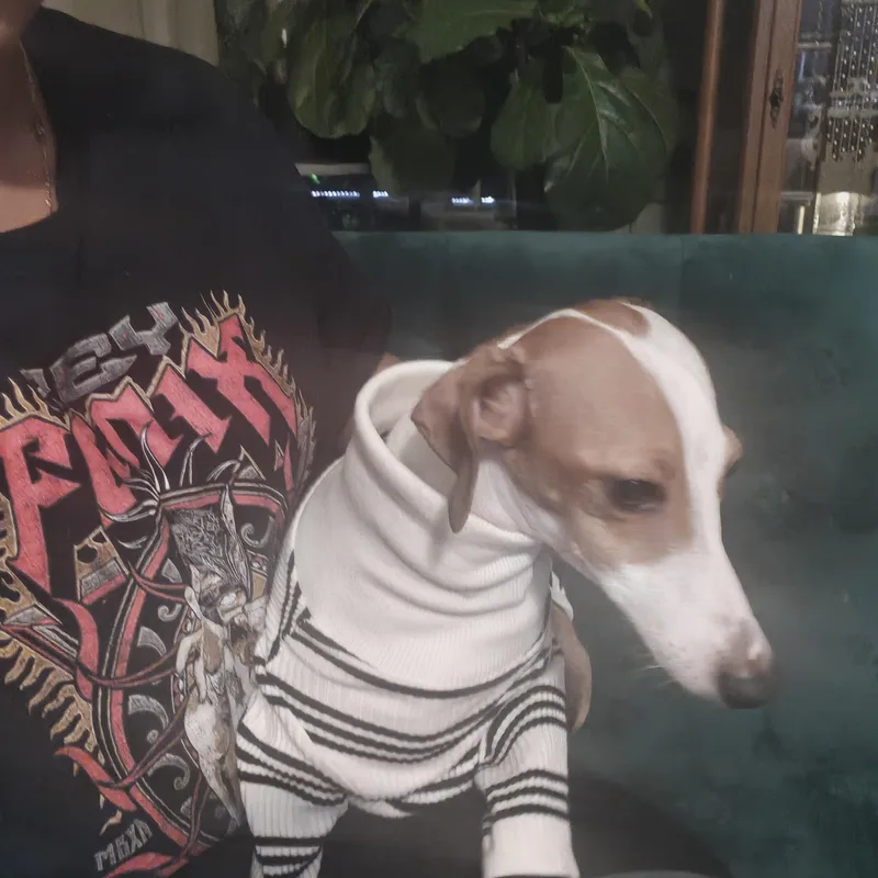 Ferragamo  San Antonio thumbnail 2