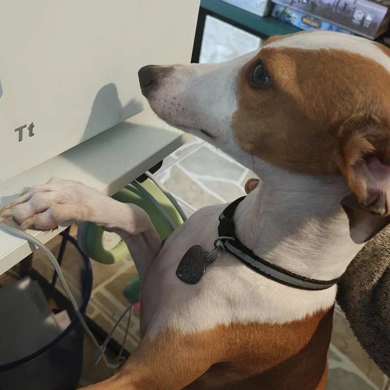 Ferragamo  San Antonio thumbnail 3