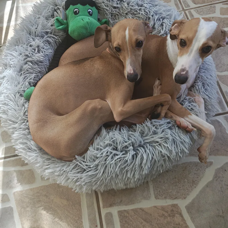 Ferragamo  San Antonio thumbnail 4