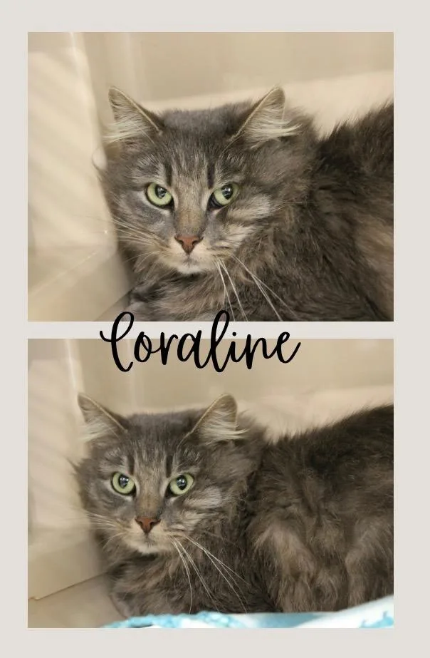 Coraline