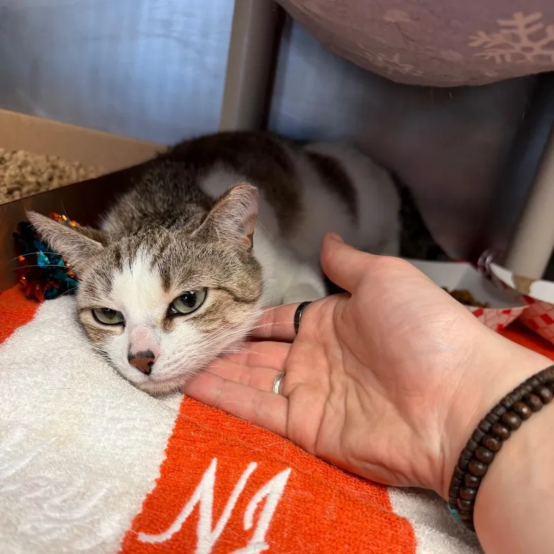 Patricia thumbnail 3