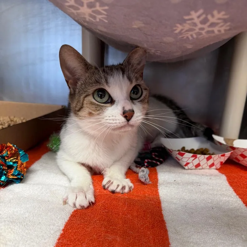 Patricia thumbnail 5