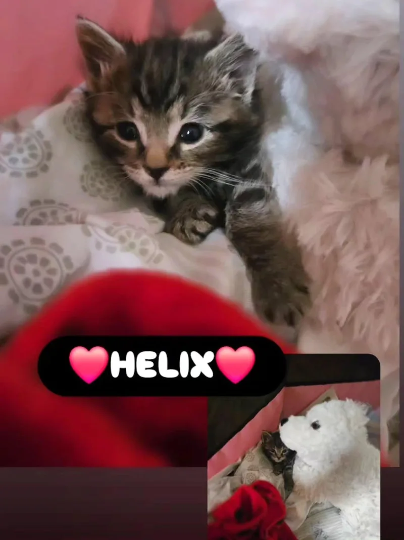 Helix