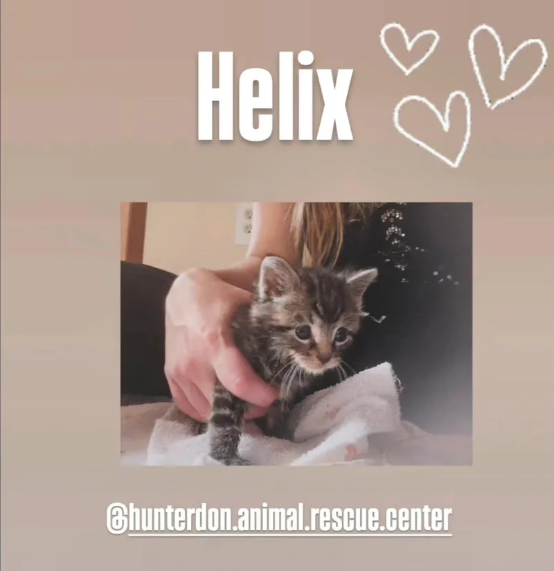 Helix thumbnail 3