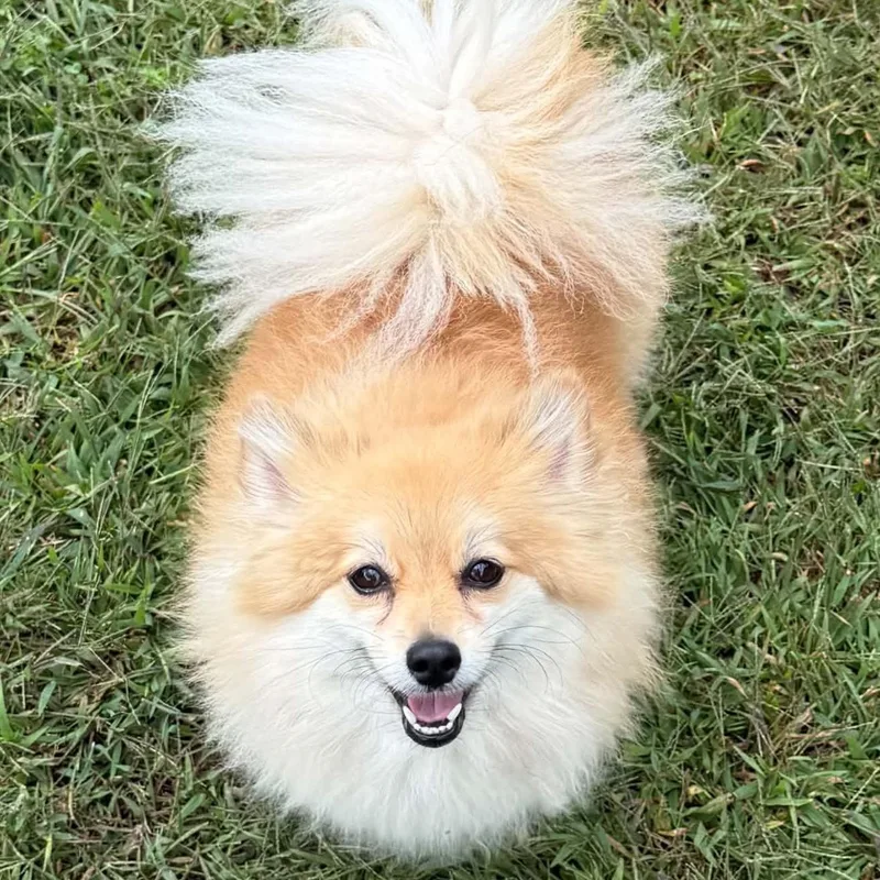 Bella thumbnail 3