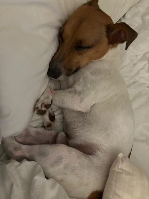 Walter