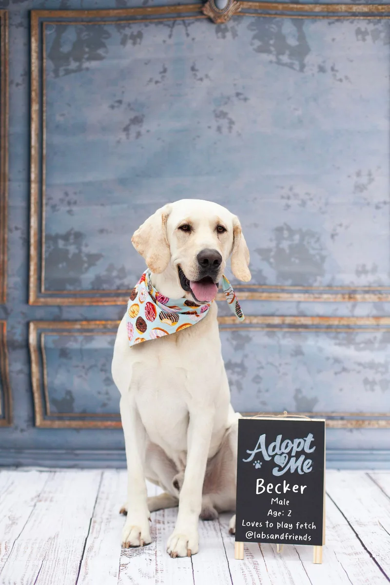 Cletus Aka Becker thumbnail 2