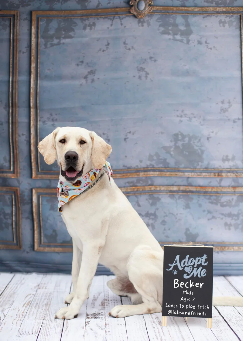 Cletus Aka Becker thumbnail 3