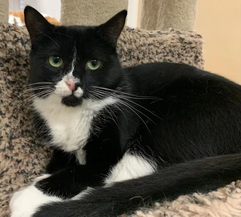 Princess thumbnail 2