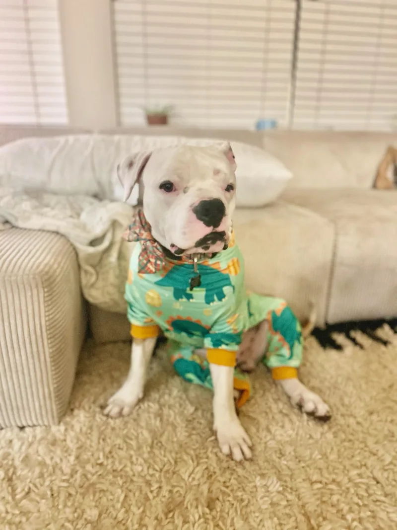 Bruce Wayne thumbnail 2