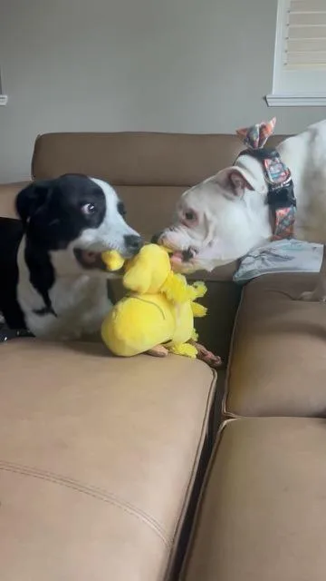 Bruce Wayne thumbnail 3