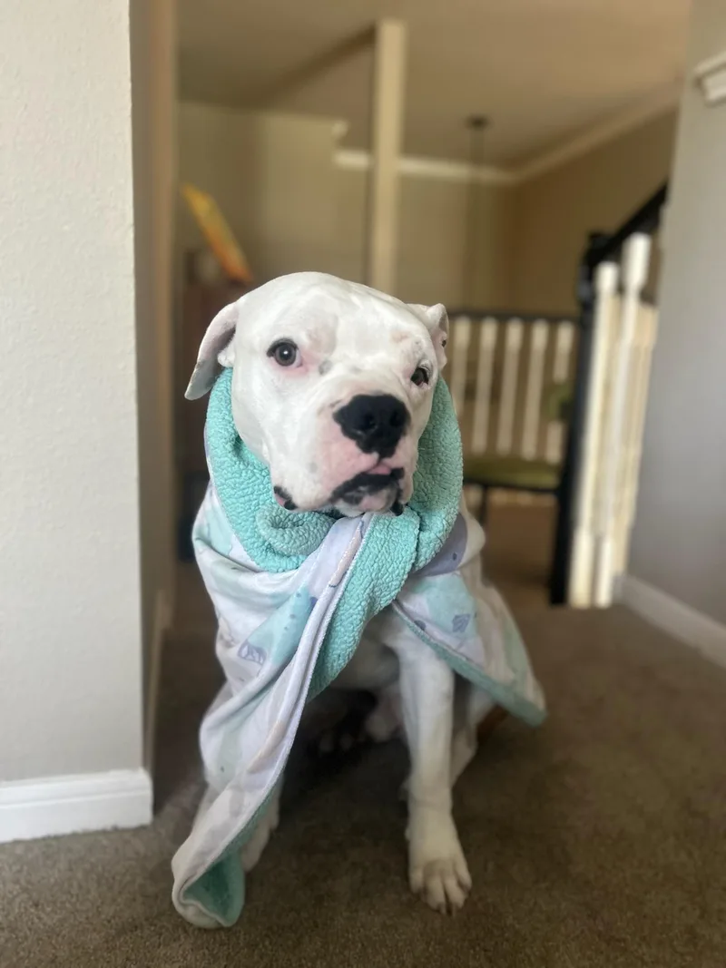 Bruce Wayne thumbnail 5