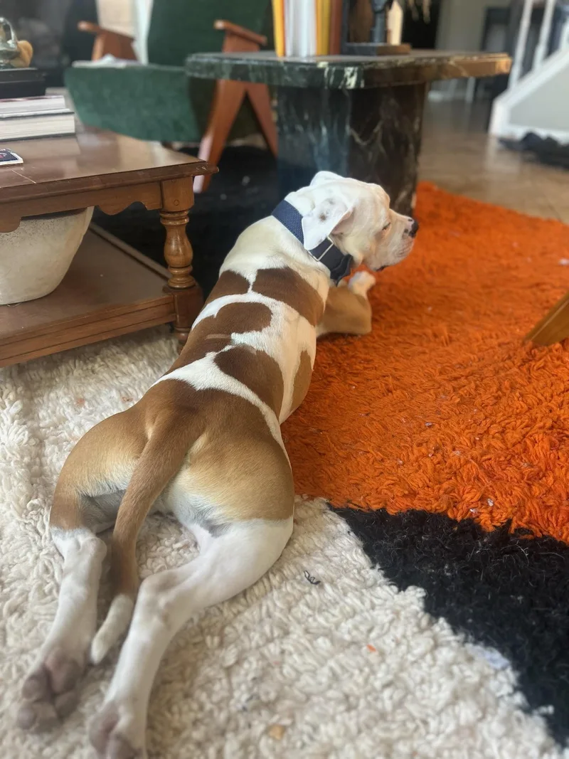 Bruce Wayne thumbnail 6