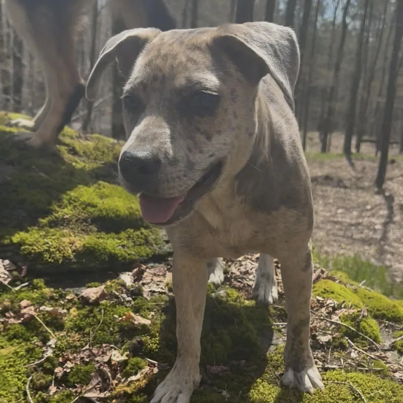 Keiko