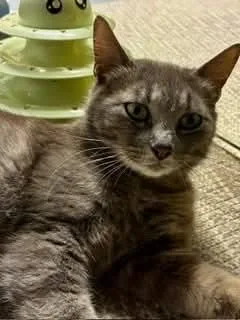 Eleanor