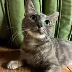 Eleanor thumbnail 3