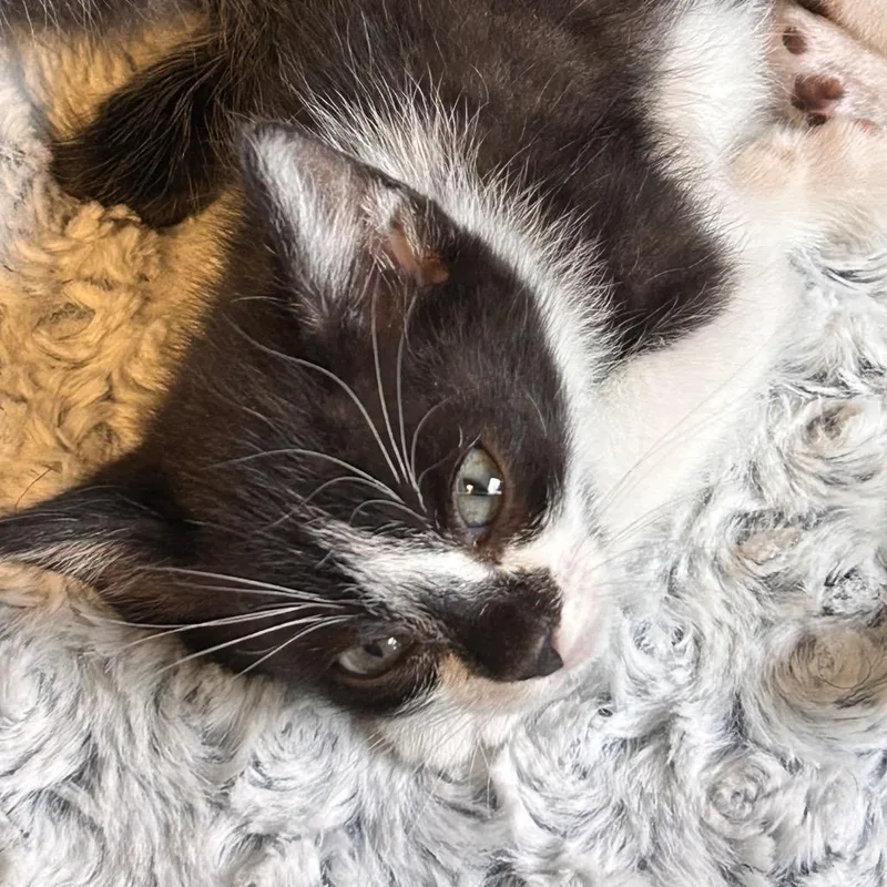 Lawn Crew thumbnail 2