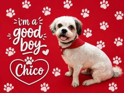 Chico